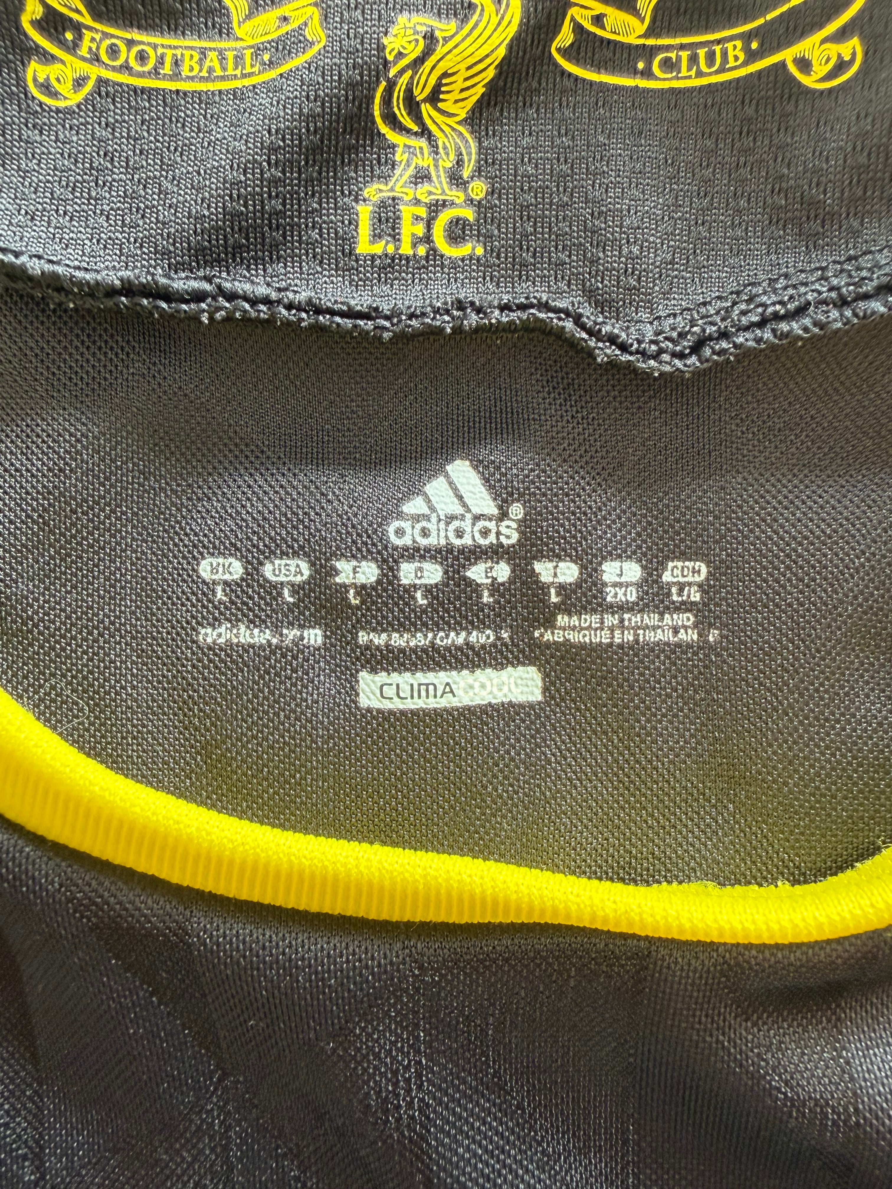 Liverpool 2010/11 — Maillot Third | Carroll #9