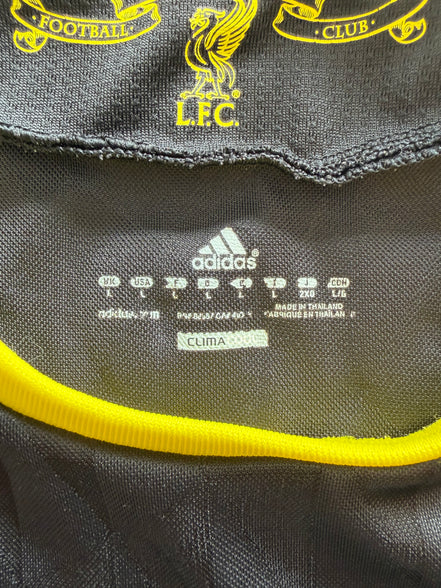 Liverpool 2010/11 — Maillot Third | Carroll #9