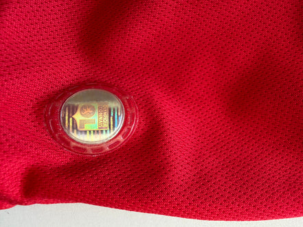 Lyon 2005/06 — Maillot Extérieur | Wiltord #22